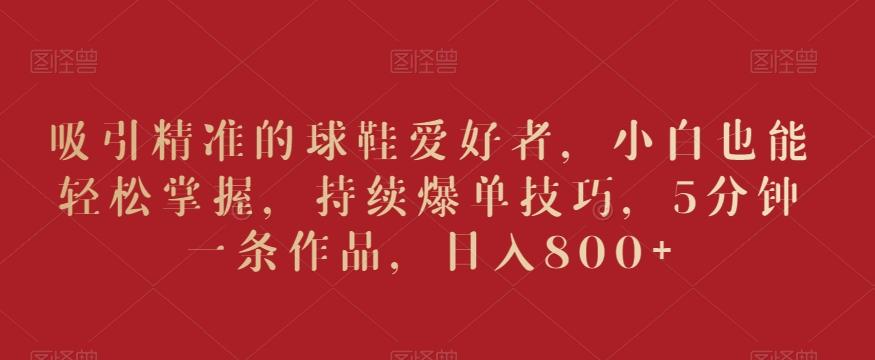 吸引精准的球鞋爱好者，小白也能轻松掌握，持续爆单技巧，5分钟一条作品，日入800+【揭秘】-511资料网