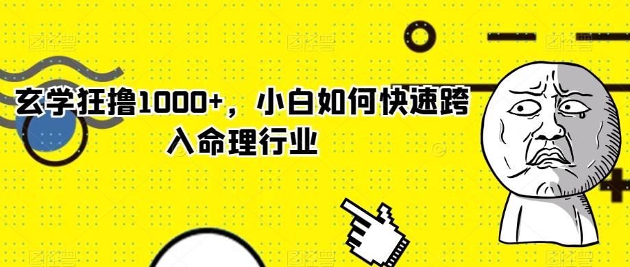 玄学狂撸1000+，小白如何快速跨入命理行业-511资料网