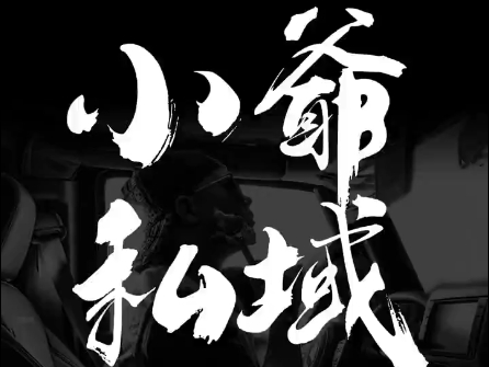 小爷·私域项目操盘手-511资料网