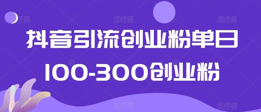 抖音引流创业粉单日100-300创业粉【揭秘】-511资料网
