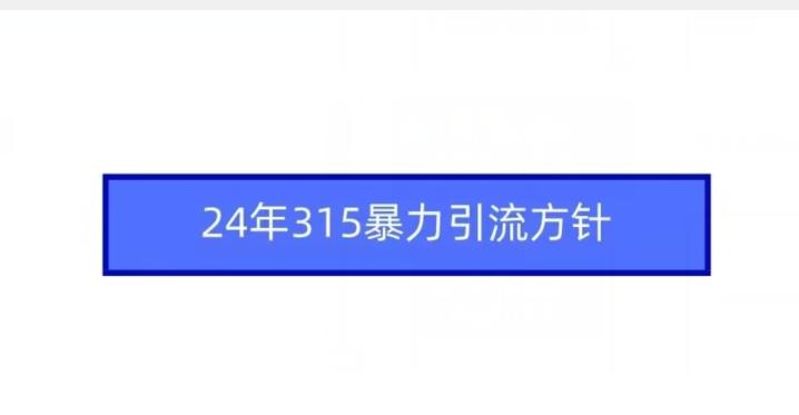 24年315暴力引流方针-511资料网