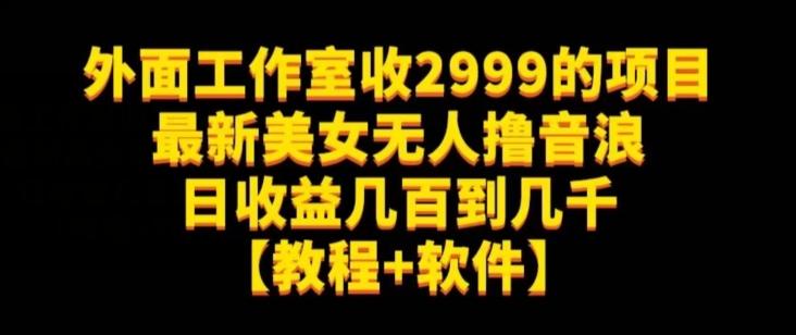 外面工作室收2999的项目最新美女无人撸音浪日收益几百到几千【教程+软件】（仅揭秘）-511资料网