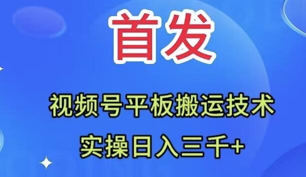全网首发：视频号平板搬运技术，实操日入三千＋-511资料网