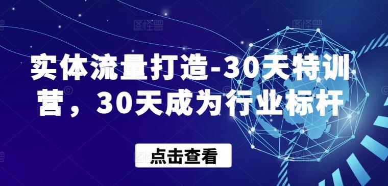 实体流量打造-30天特训营，30天成为行业标杆-511资料网