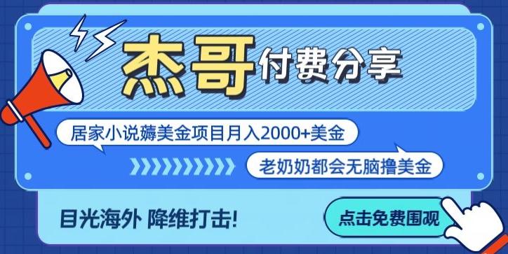拆解海外撸美金项目月入2000美刀详细指导-511资料网