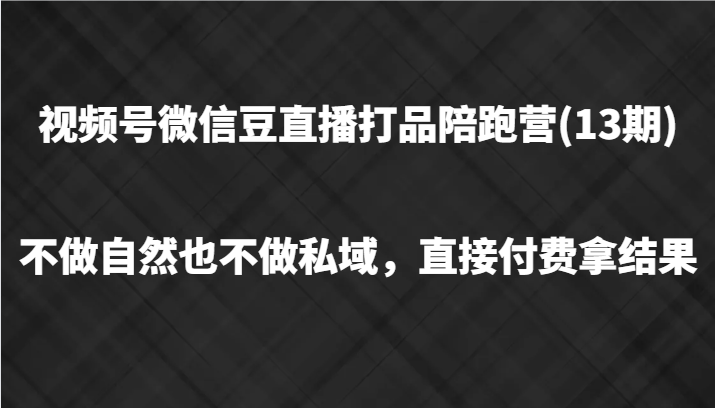 视频号微信豆直播打品陪跑(13期)，不做不自然流不做私域，直接付费拿结果-511资料网