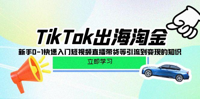 (10035期)TikTok-出海淘金，新手0-1快速入门短视频直播带货等引流到变现的知识-511资料网