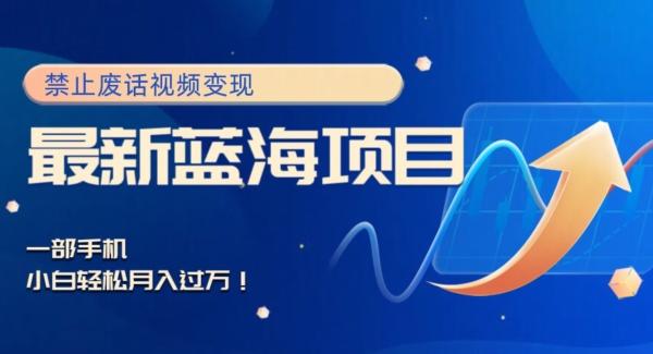 最新蓝海项目，靠禁止废话视频变现，一部手机，小白轻松月入过万！-511资料网