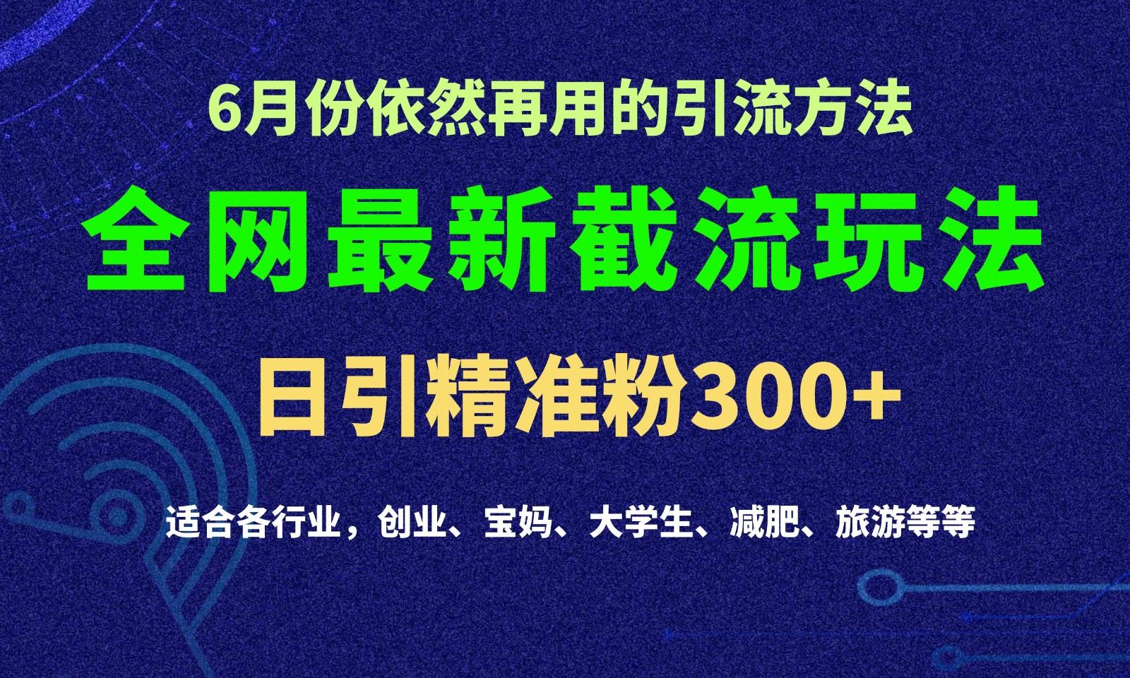 2024全网最新截留玩法，每日引流突破300+-511资料网