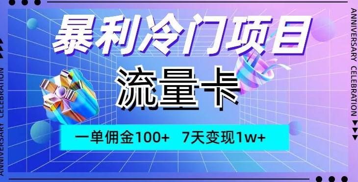 暴利冷门项目，流量卡，一单佣金100+，7天变现1w+-511资料网