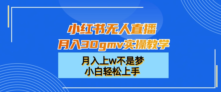小红书无人直播月入30gmv实操教学，月入上w不是梦，小白轻松上手【揭秘】-511资料网