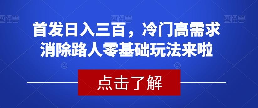 首发日入三百，冷门高需求消除路人零基础玩法来啦【揭秘】-511资料网