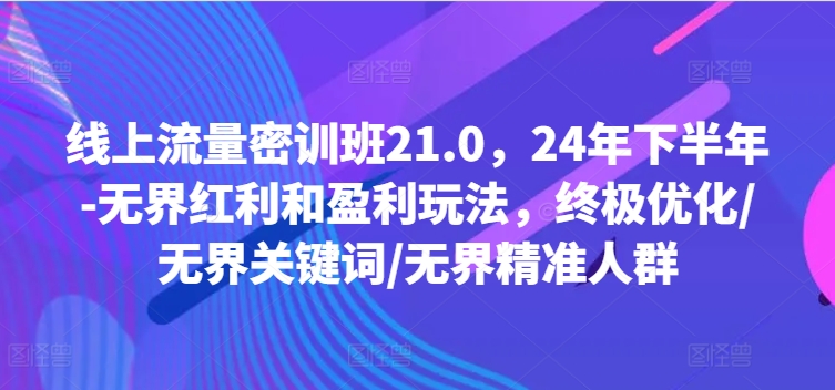 线上流量密训班21.0，24年下半年-无界红利和盈利玩法，终极优化/无界关键词/无界精准人群-511资料网