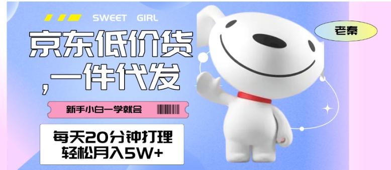 每天20分钟打理京东低价货，一件代发-轻松月入5W＋-511资料网