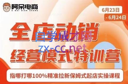 阿呆电商·全店动销经营模式特训营(线下录音+思维导图)-511资料网