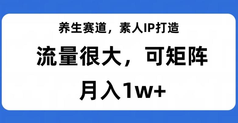 养生赛道，素人IP打造，流量很大，可矩阵，月入1w+【揭秘】-511资料网