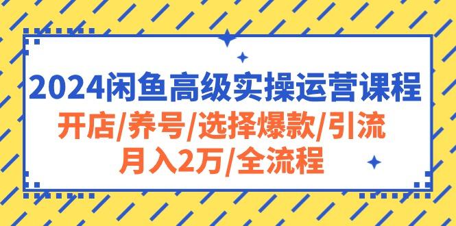 2024闲鱼高级实操运营课程：开店/养号/选择爆款/引流/月入2万/全流程-511资料网
