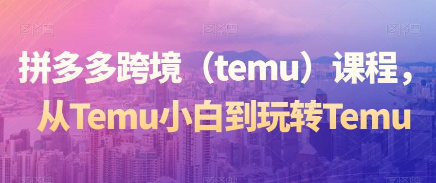 拼多多跨境（temu）课程，从Temu小白到玩转Temu-511资料网