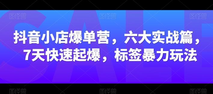 抖音小店爆单营，六大实战篇，7天快速起爆，标签暴力玩法-511资料网
