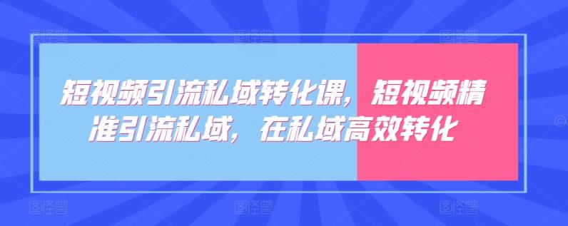 短视频引流私域转化课，短视频精准引流私域，在私域高效转化-511资料网