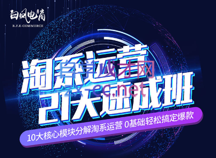 淘系运营21天速成班(更新7月)-511资料网