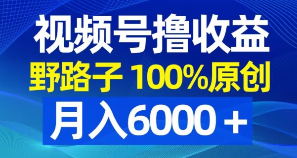 视频号野路子撸收益，100%原创，条条爆款，月入6000＋【揭秘】-511资料网