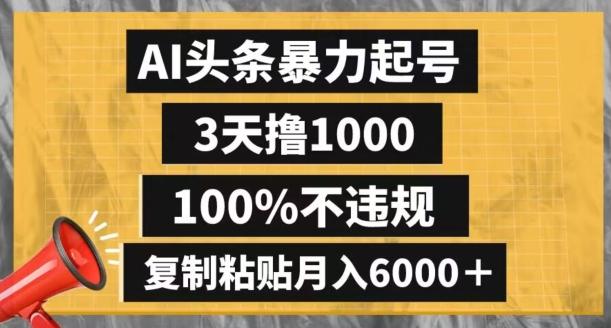 AI头条暴力起号，3天撸1000,100%不违规，复制粘贴月入6000＋【揭秘】-511资料网