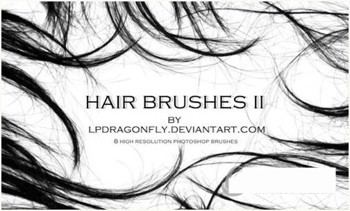 PS发丝笔刷-511资料网