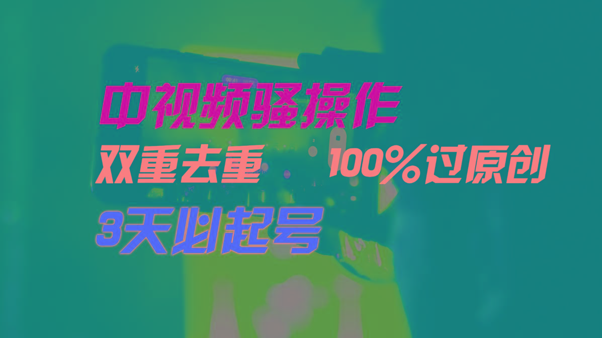 中视频骚操作，双重去重100%过原创，3天比必起号，简单无脑，月入3W+-511资料网