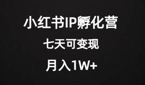 价值2000+的小红书IP孵化营项目，超级大蓝海，七天即可开始变现，稳定月入1W+-511资料网