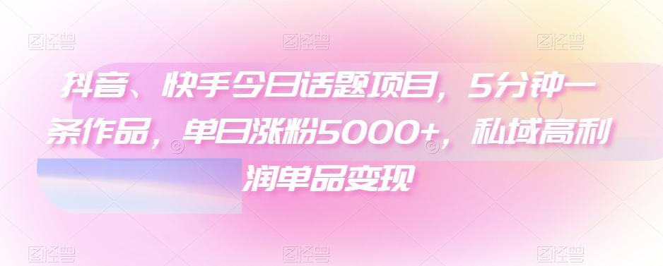 抖音、快手今日话题项目，5分钟一条作品，单日涨粉5000+，私域高利润单品变现-511资料网
