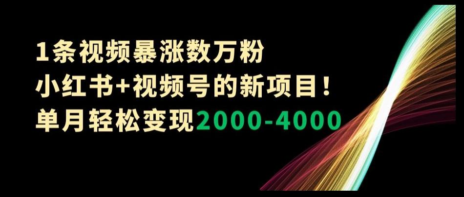 1条视频暴涨数万粉–小红书+视频号的新项目！单月轻松变现2000-4000【揭秘】-511资料网