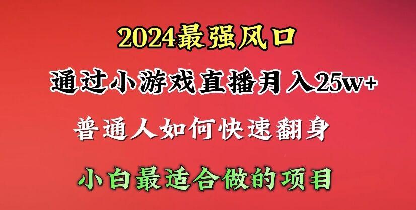 (10020期)2024年最强风口，通过小游戏直播月入25w+单日收益5000+小白最适合做的项目-511资料网