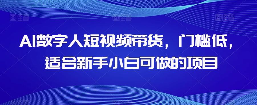 AI数字人短视频带货，门槛低，适合新手小白可做的项目-511资料网