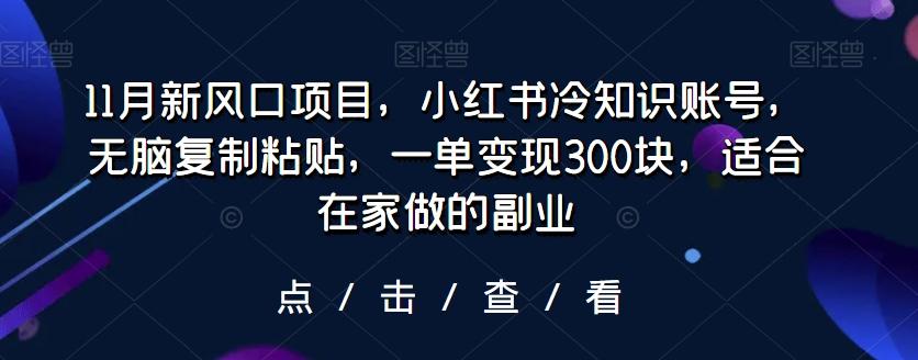 11月新风口项目，小红书冷知识账号，无脑复制粘贴，一单变现300块，适合在家做的副业-511资料网