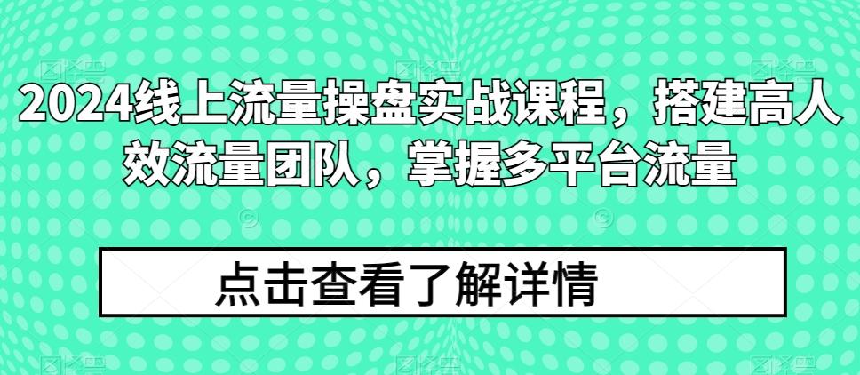 2024线上流量操盘实战课程，搭建高人效流量团队，掌握多平台流量-511资料网