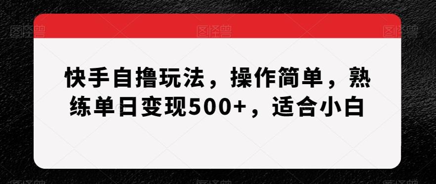 快手自撸玩法，操作简单，熟练单日变现500+，适合小白【揭秘】-511资料网