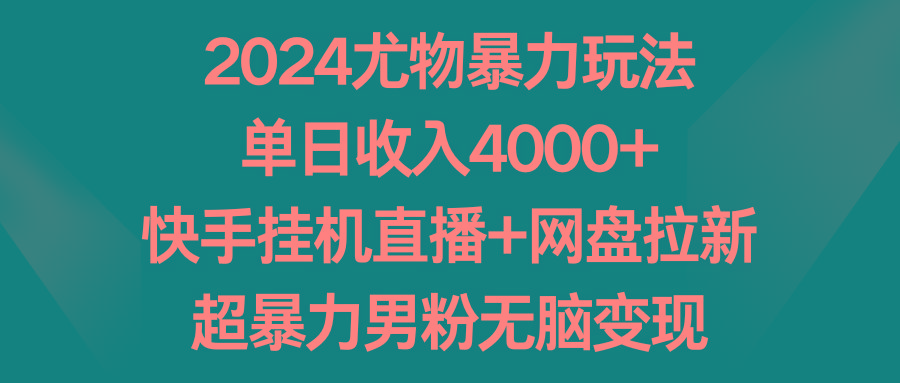 2024尤物暴力玩法 单日收入4000+快手挂机直播+网盘拉新 超暴力男粉无脑变现-511资料网