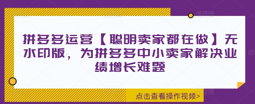 拼多多运营【聪明卖家都在做】无水印版，为拼多多中小卖家解决业绩增长难题-511资料网