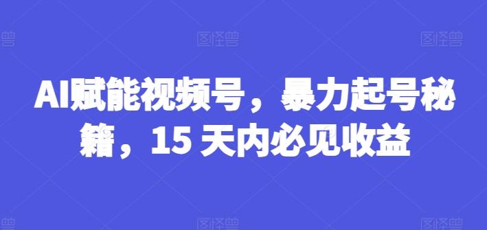 AI赋能视频号，暴力起号秘籍，15 天内必见收益【揭秘】-511资料网