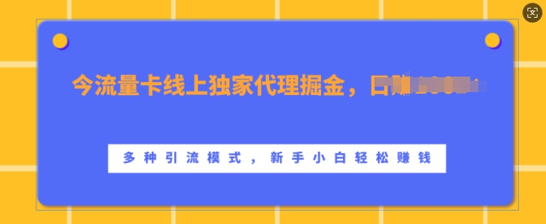 流量卡线上独家代理掘金，日入1k+ ，多种引流模式，新手小白轻松上手【揭秘】-511资料网