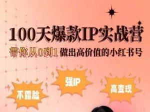 小红书100天爆款IP实战营，带你从0到1做出高价值的小红书号-511资料网
