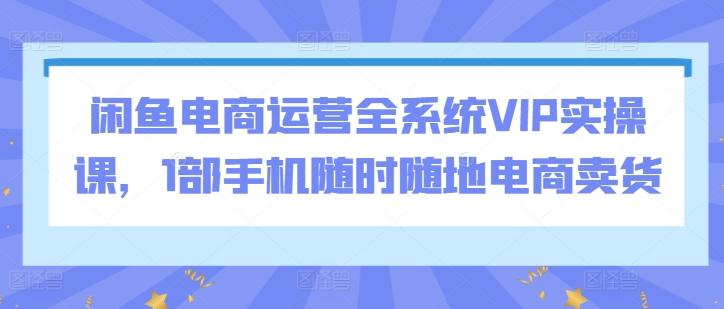 闲鱼电商运营全系统VIP实操课，1部手机随时随地电商卖货-511资料网