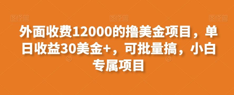 外面收费12000的撸美金项目，单日收益30美金+，可批量搞，小白专属项目-511资料网