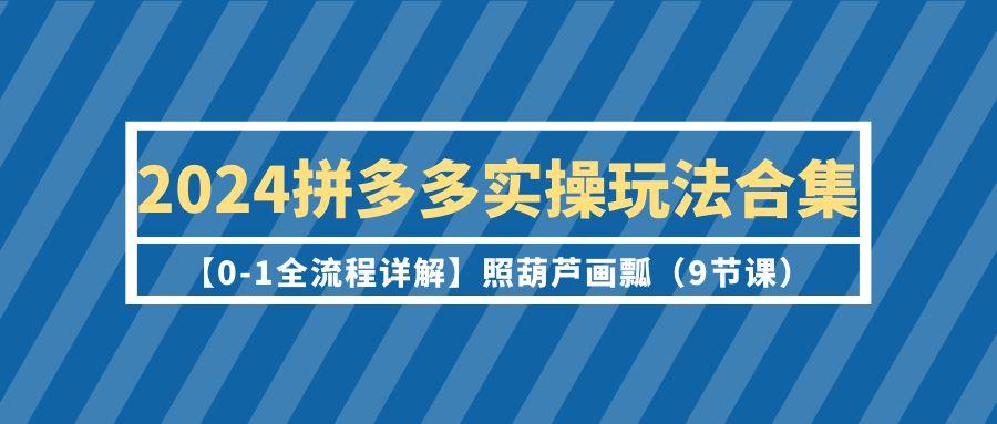 (9559期)2024拼多多实操玩法合集【0-1全流程详解】照葫芦画瓢(9节课)-511资料网