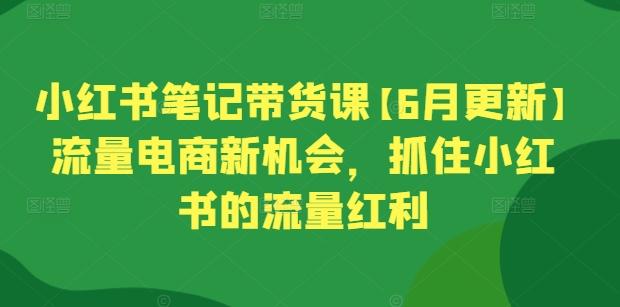 小红书笔记带货课【6月更新】流量电商新机会，抓住小红书的流量红利-511资料网