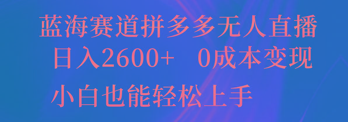 蓝海赛道拼多多无人直播，日入2600+，0成本变现，小白也能轻松上手-511资料网