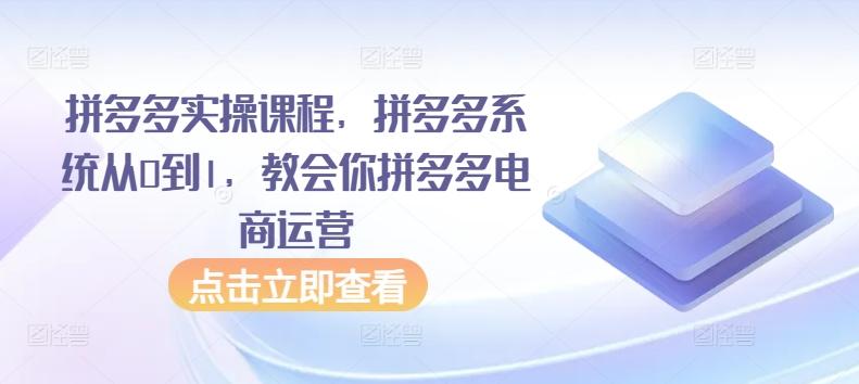 拼多多实操课程，拼多多系统从0到1，教会你拼多多电商运营-511资料网