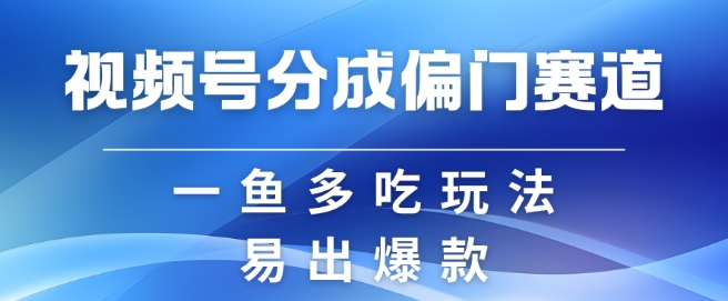 视频号创作者分成计划偏门类目，容易爆流，实拍内容简单易做【揭秘】-511资料网