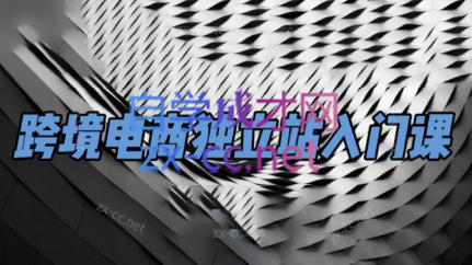 团长·跨境电商独立站入门课(2小时精华)-511资料网